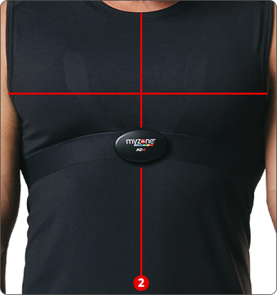 SPORTS SHIRT size guide